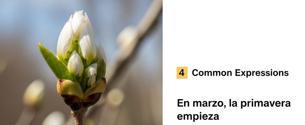 march in Spanish