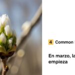 march in Spanish