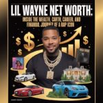 lil wayne net worth